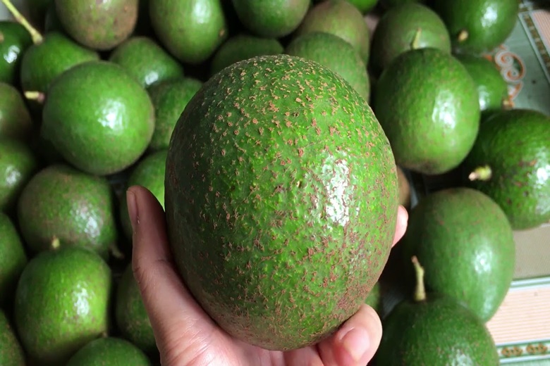 Bơ Booth Loại 1 - 1Kg