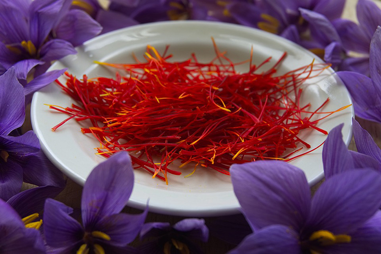 Saffron Shyam Gazelle (1g) - Tặng 1 Hộp Hoa Hồng Korea Detox, Thanh Nhiệt