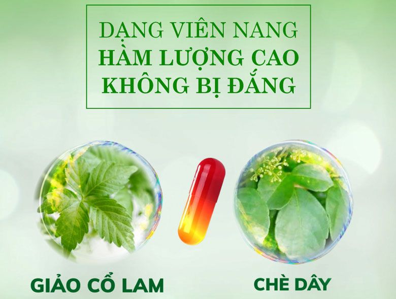 combo 5 hộp thực phẩm bảo vệ sức khỏe giảo cổ lam thiên bảo (5 hộp x 60 viên) + tặng 01 hộp cùng loại - hỗ trợ giảm mỡ máu, ổn định đường huyết 3