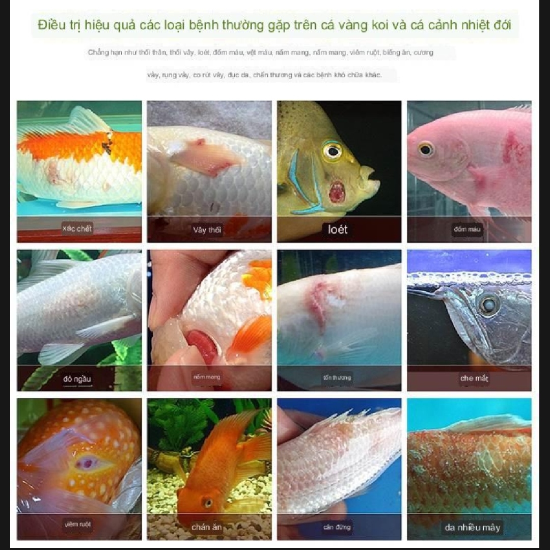 Thuốc trị nấm rất nhậy cho cá cảnh BIO CLEAN 50NL, 100ML