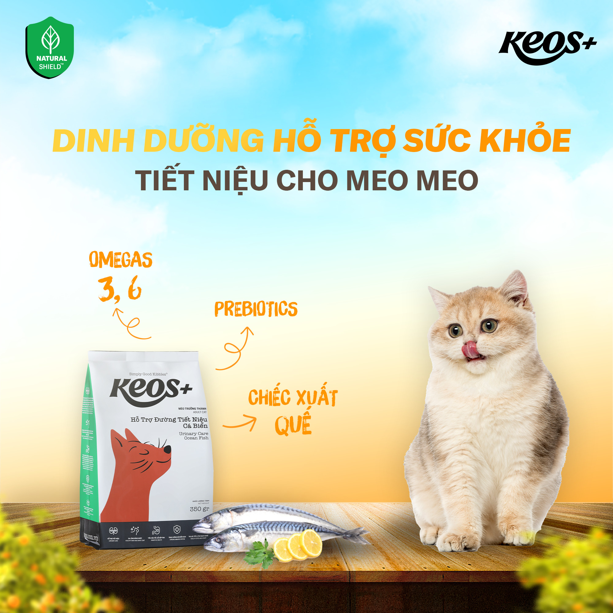 9KG Thức ăn hỗ trợ đường tiết niệu cho Mèo Keos Plus Cat Adult Urinary