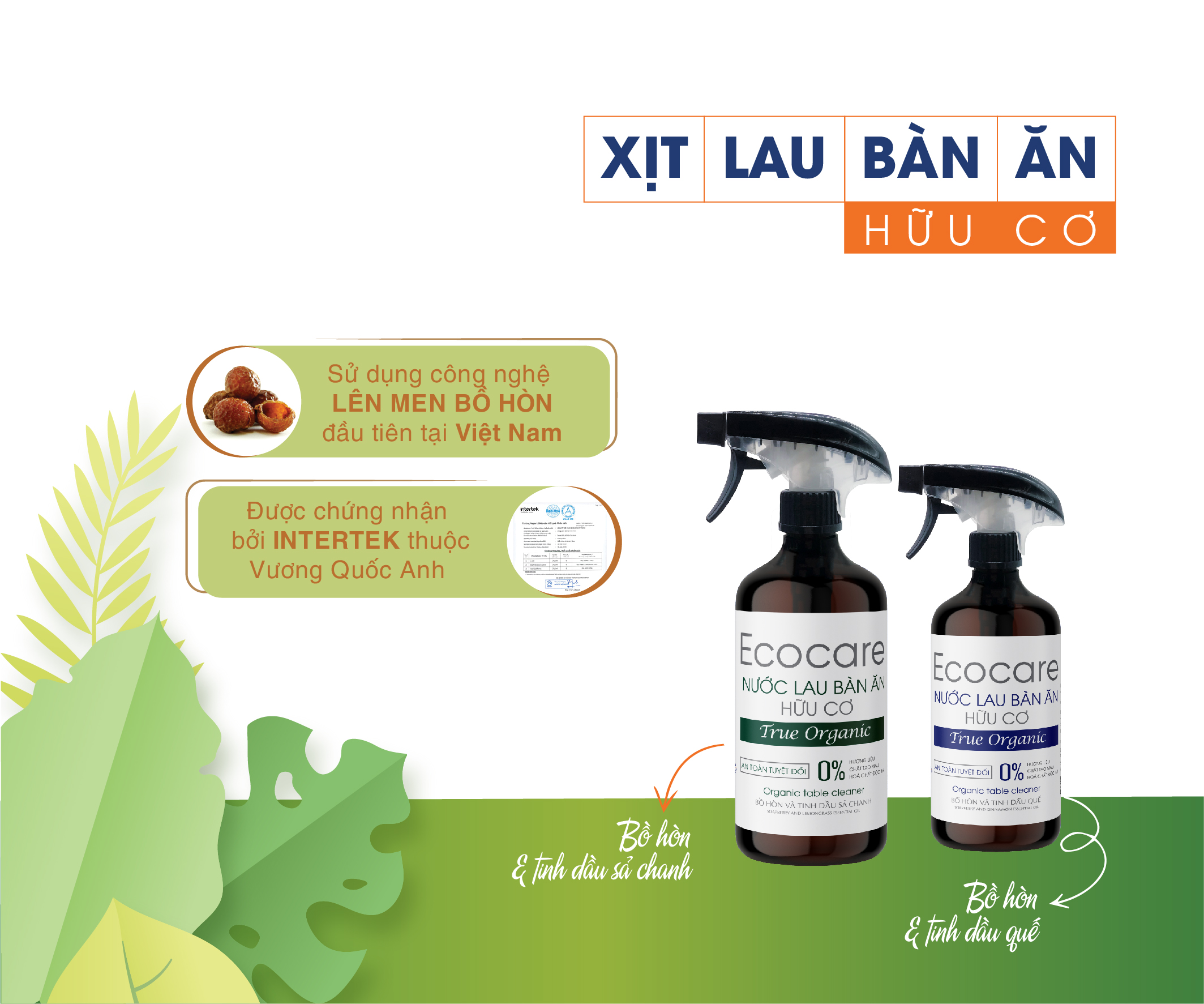 Xịt lau bàn ăn hữu cơ Bồ hòn tinh dầu Sả Chanh dung tích 500ml thương hiệu Ecocare