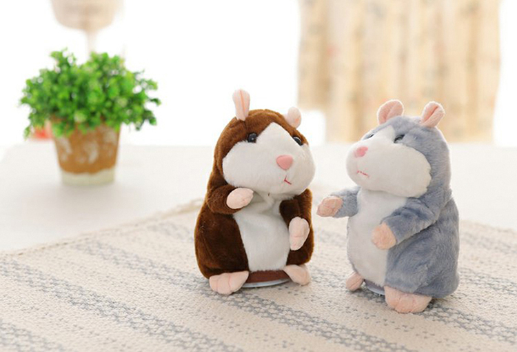 Chuột Hamster Biết Nói