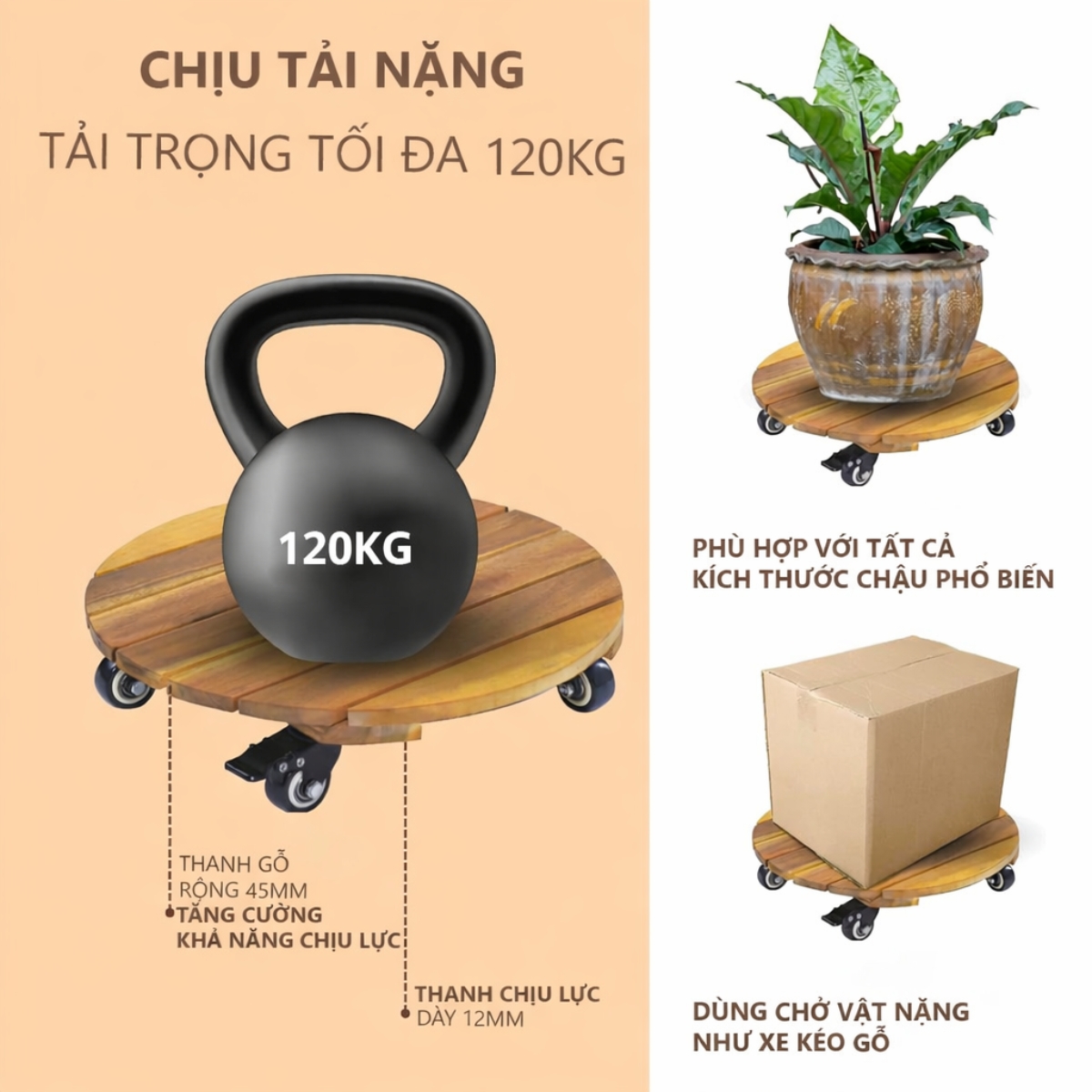 de-lot-chau-cay-co-lon