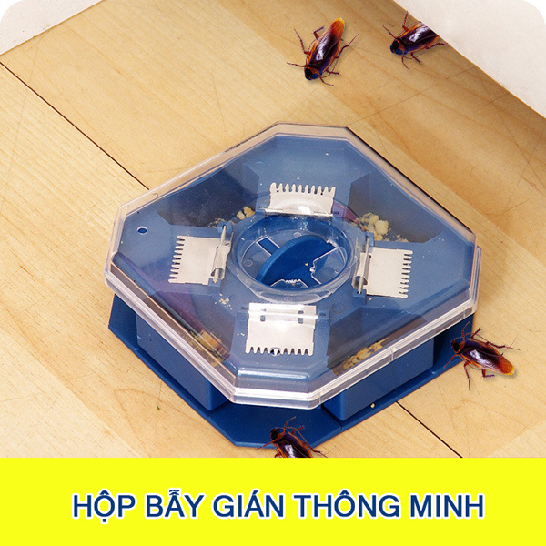 Hộp Bẫy Gián Thông Minh (Màu Xanh Dương)