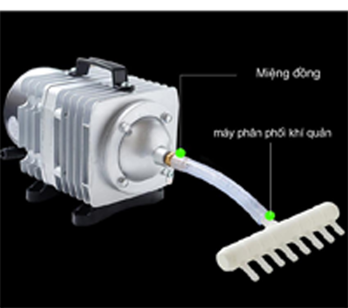 Máy sục sủi thổi khí oxy hồ bể cá cảnh 25W - 45L/P chất lượng cao,công suất mạnh, tiết kiệm điện