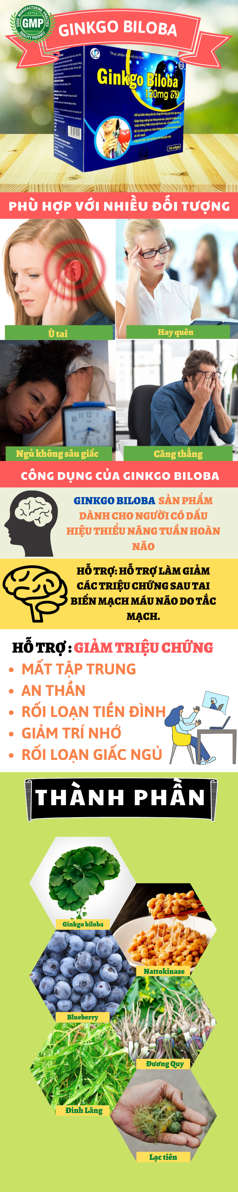 GINKGO BILOBA - Viên uống hỗ trợ chức năng não bộ, Giúp tăng cường lưu thông máu não, Giúp an thần, hỗ trợ điều trị rối loạn giấc ngủ (Hộp 100 viên) 1