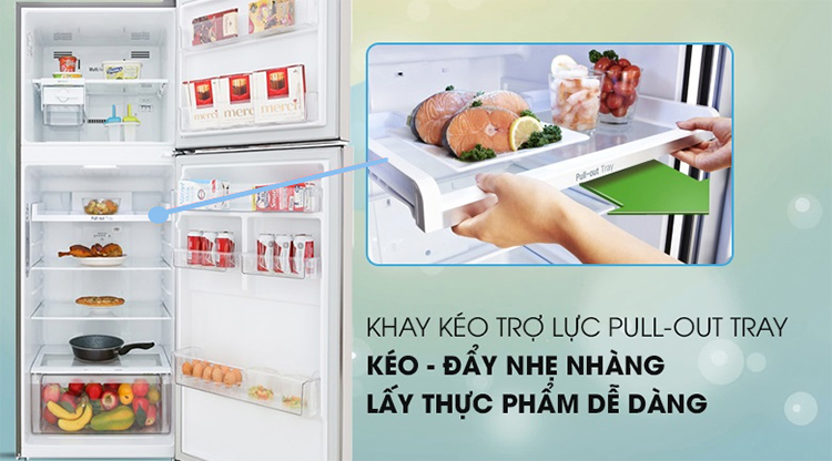 Tủ Lạnh Inverter LG GN-M422PS (393L)