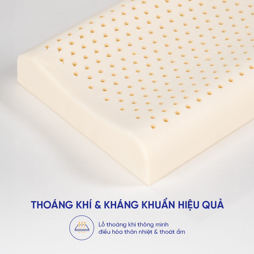 Gối cao su Gummi Contour Pudding 26*43