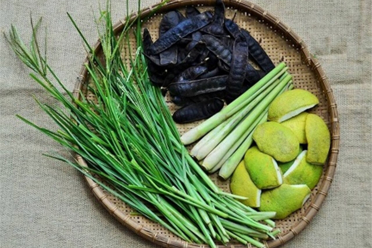 Gội Đầu Dưỡng Sinh Thảo Dược Điều Trị Rụng Tóc, Bạc Sớm, Mất Ngủ, Đau Đầu Tại Budd Spa & Retreat