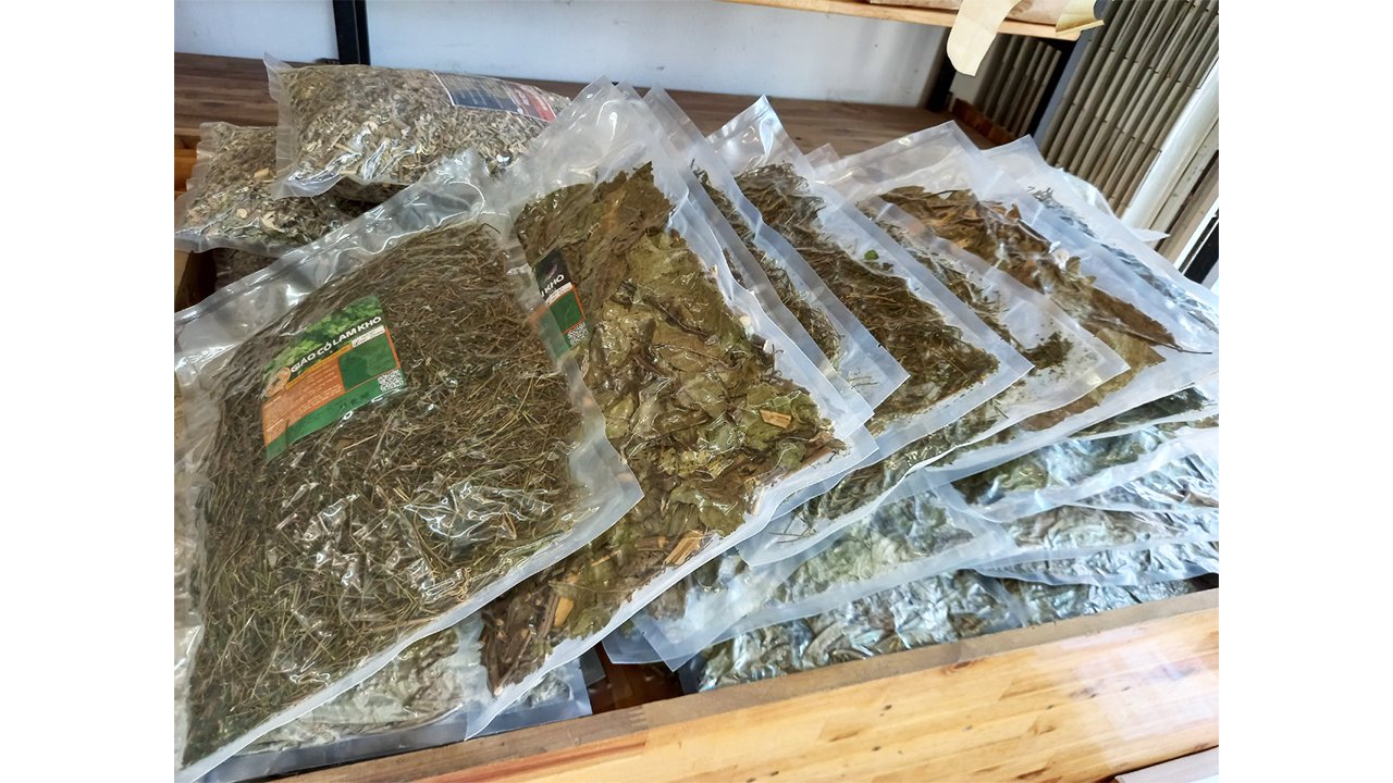 1kg cây xạ đen khô ( tặng 1 chai tinh dầu sả chanh 8ml ) - giúp ổn định huyết áp, thanh nhiệt, giải độc cơ thể