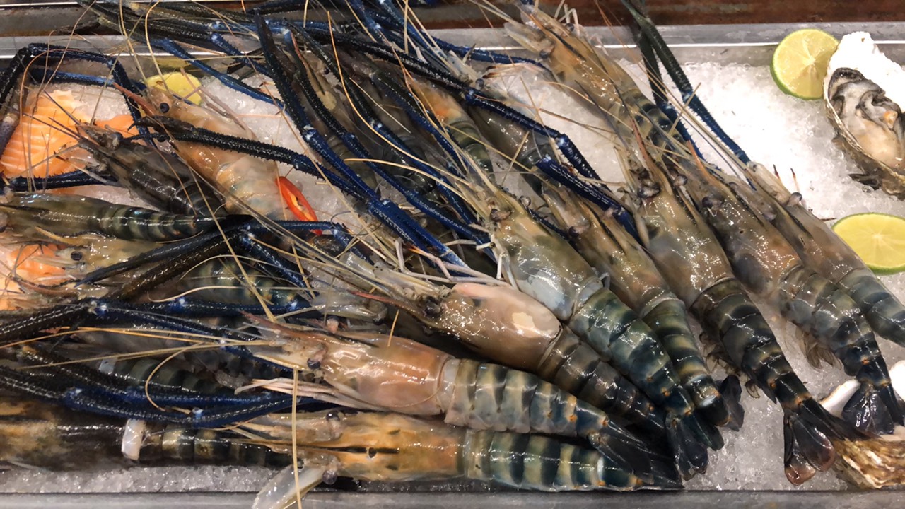 Hell Bull 1 - Buffet Hải Sản 100 Món Tôm Càng Xanh,Hàu Sữa Pháp,Bạch Tuột,Bò,Cá Sấu,Đà Điểu, Lẩu Phong Cách Đức