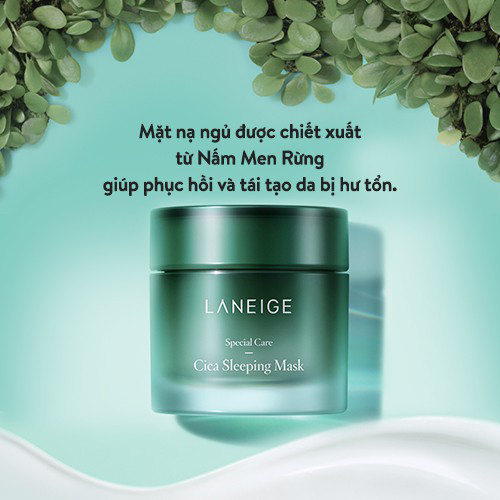 Mặt nạ ngủ dưỡng ẩm sâu Laneige Special Care Cica Sleeping Mask 60ml