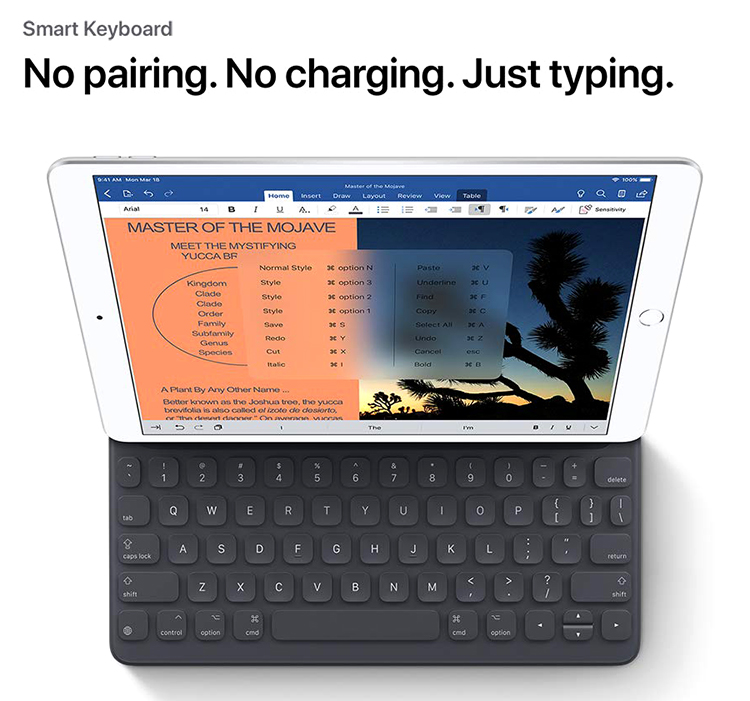 iPad Air 10.5 WiFi + Cellular 256GB New 2019 - Hàng Chính Hãng iPad Air 10.5 WiFi + Cellular 256GB New 2019 - Hàng Chính Hãng