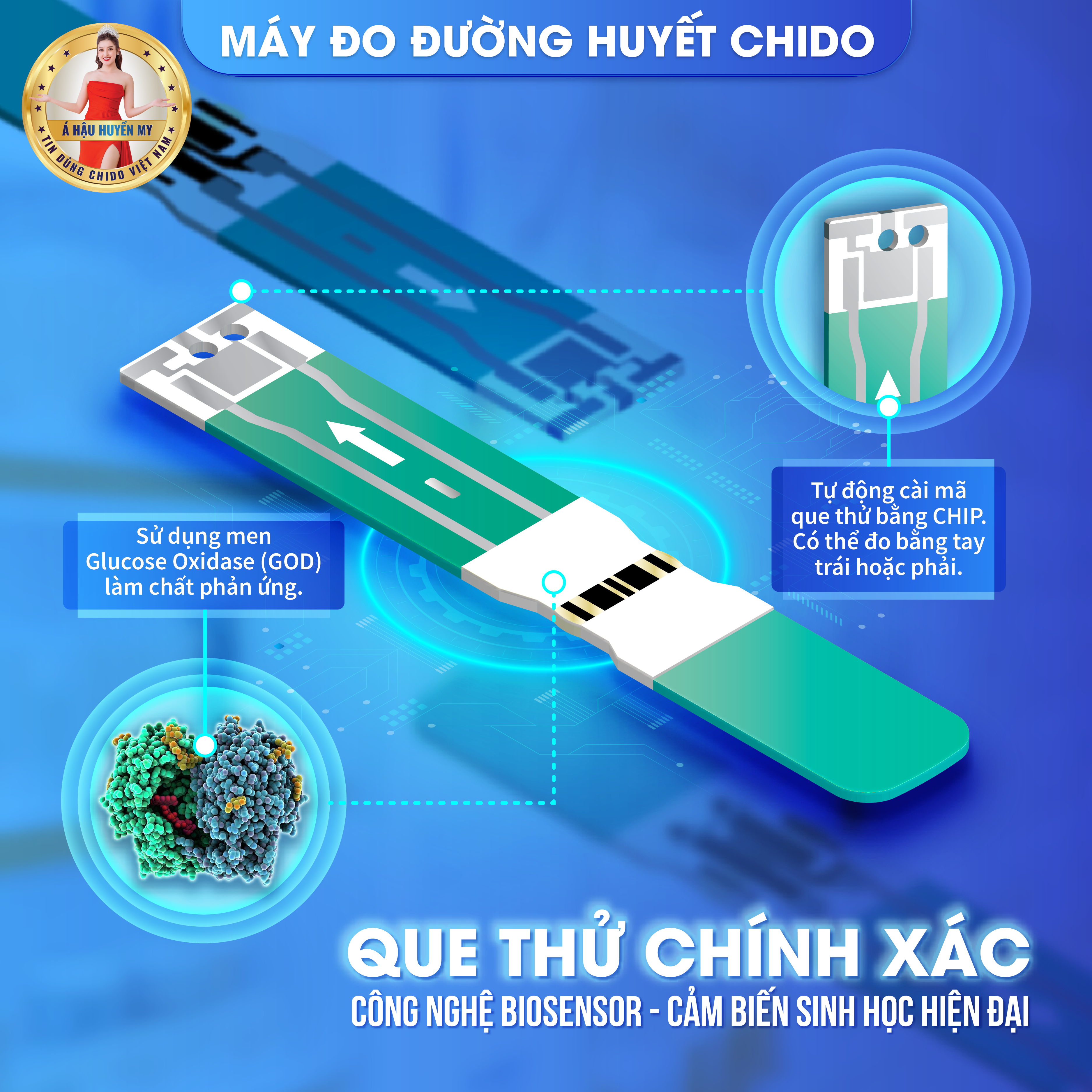 50 que thử và kim máy đo đường huyết tiểu đường chido 2