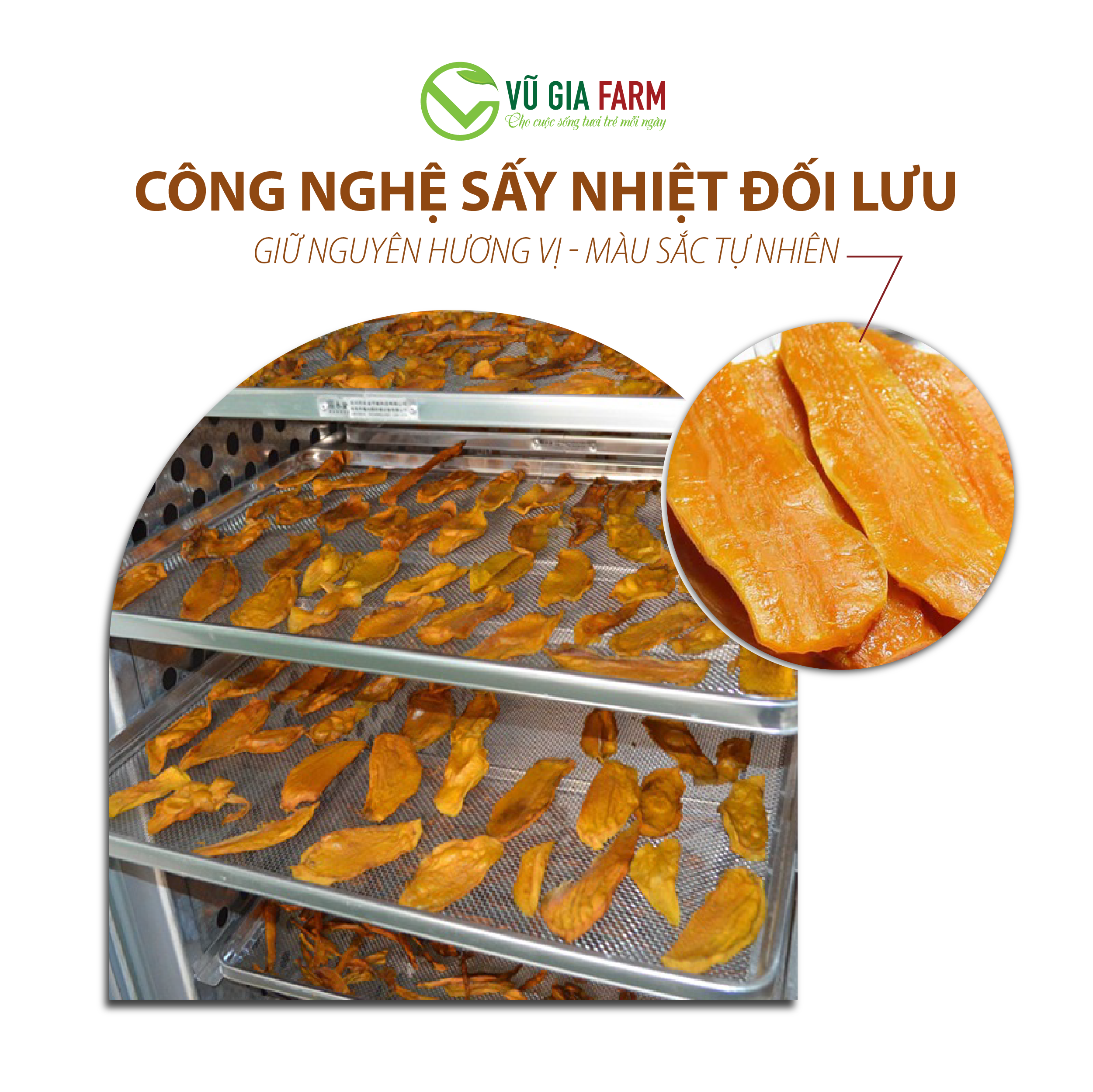 Khoai Lang Mật Sấy Dẻo (400g/hũ) – vị ngọt thanh, hấp dẫn