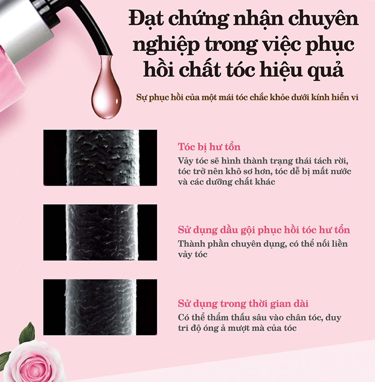 Combo Dầu Gội (Hồng) + Tinh chất +Dầu Xả Parco Dưỡng Tóc Chắc Khỏe-Phục hồi mềm mượt