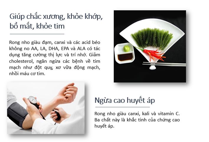 rong nho tách nước akachan xốt phomai cho bé ngọt dịu (175g hộp) 2