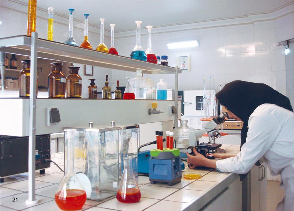 Nhụy hoa nghệ tây Iran Bahraman Saffron ( 5gram )