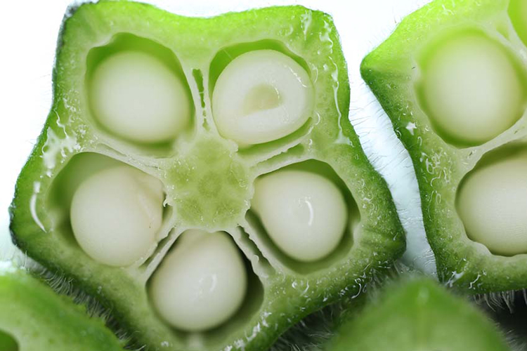 Lens Canon EF-S 35mm f/2.8 Macro IS STM - Hàng chính hãng