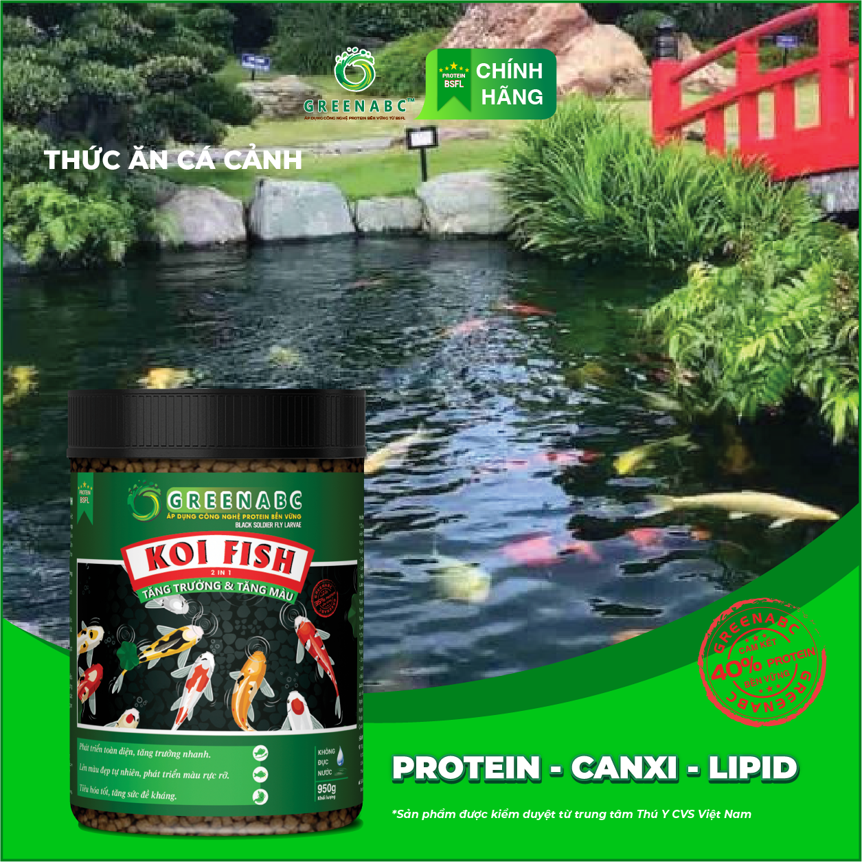 Thức ăn Cá Koi GREENABC - Koi Fish – Hàm lượng protein 40% giúp tăng size, tăng màu, tiêu hóa tốt, tăng đề kháng – Hộp 950g