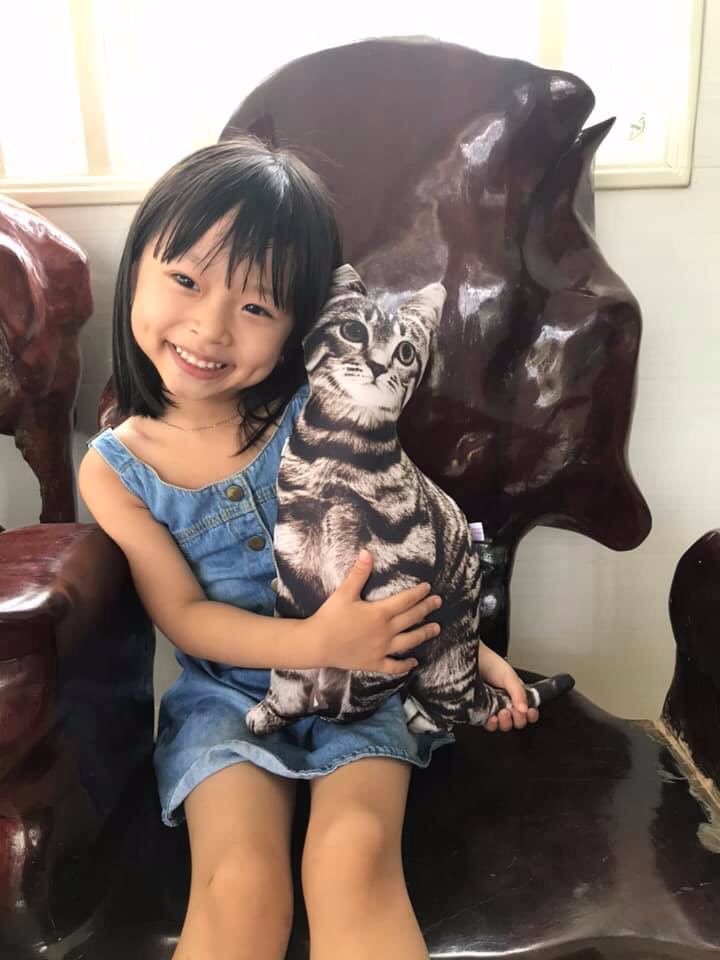 Gối Ôm Con Mèo Cho Bé 55cm Nhồi Bông Giống Như Thật Gối Ôm Hình Thú Cưng Dễ  Thương