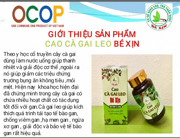 Cao Cà Gai Leo Nguyên Chất Thương Hiệu Bé Xịn Cam Kết Giải Độc Và Tăng Cường Chức Năng Gan (Hộp 100G) 2