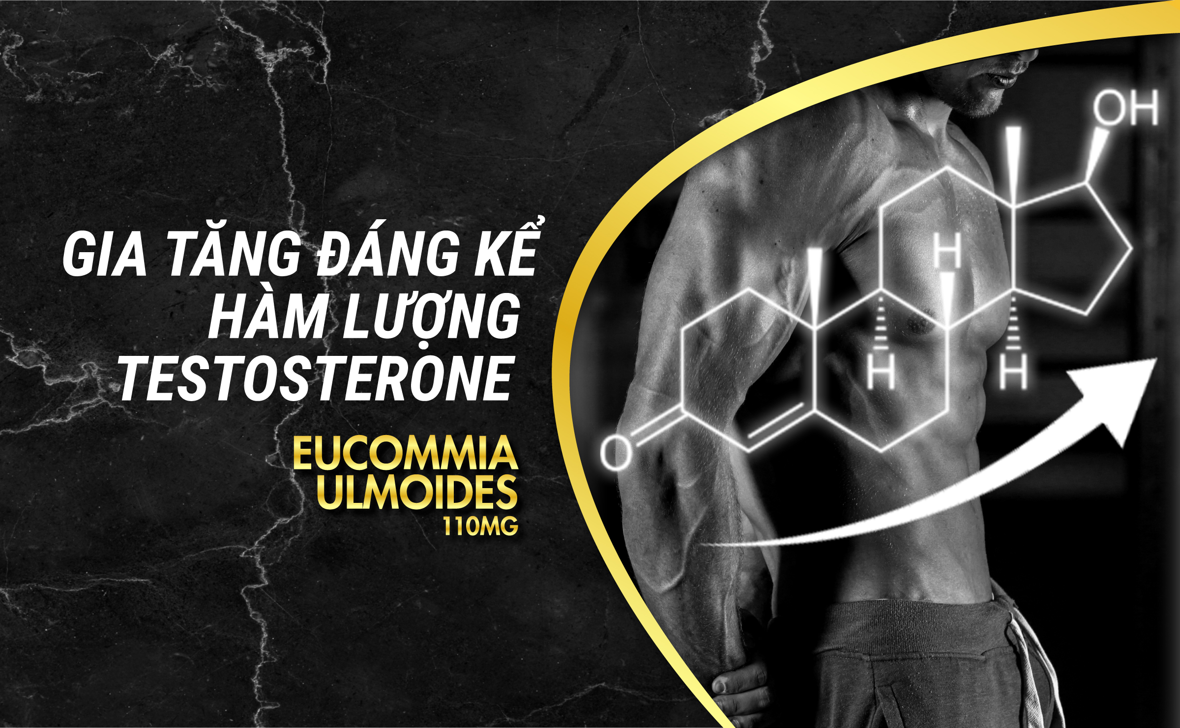 Viên uống phục hồi và tăng cường sức khỏe sinh lý nam giới Powergra Rino - Vỉ dùng thử 1 viên
