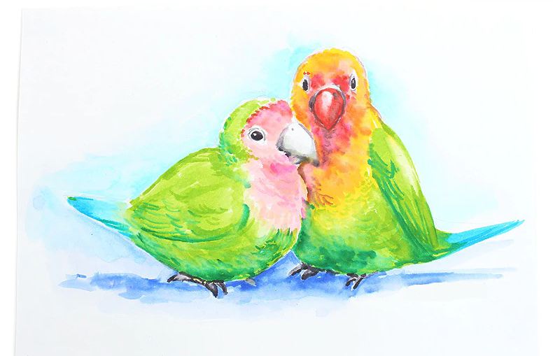 Bộ Bút Lông Màu Đầu Cọ Màu Koi Sakura