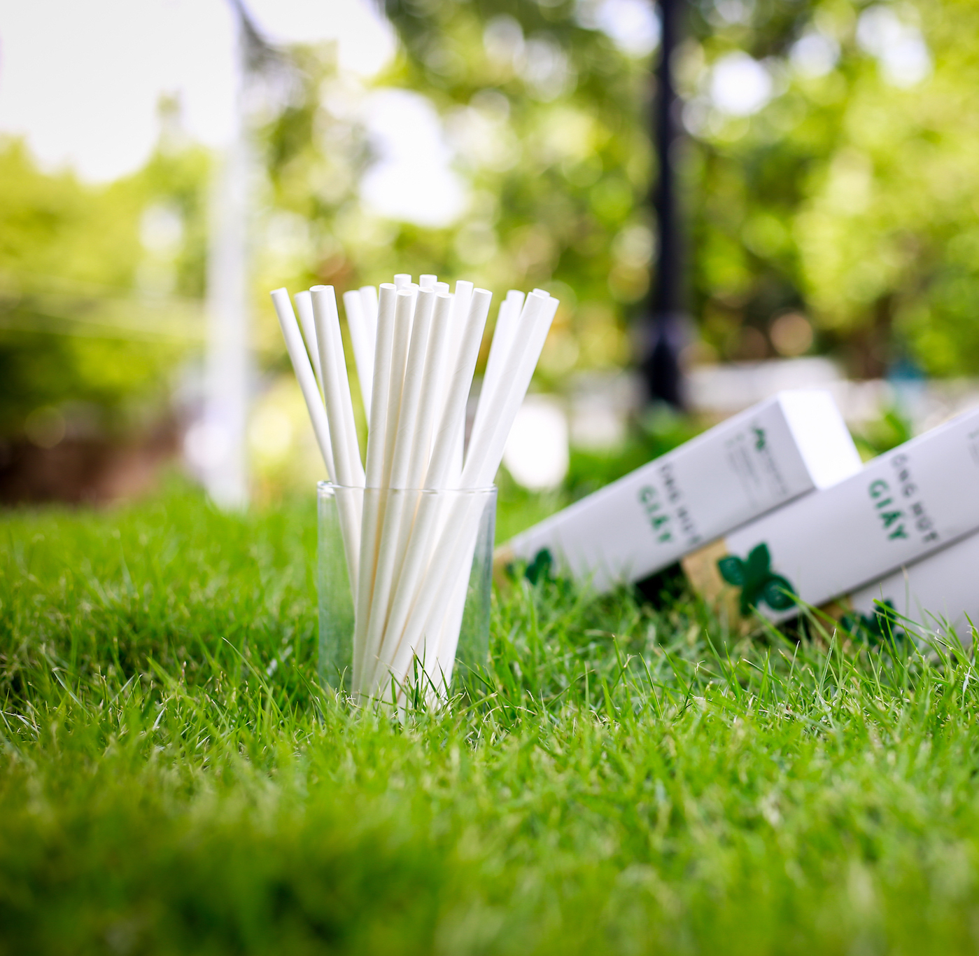 Ống hút giấy 6x197mm