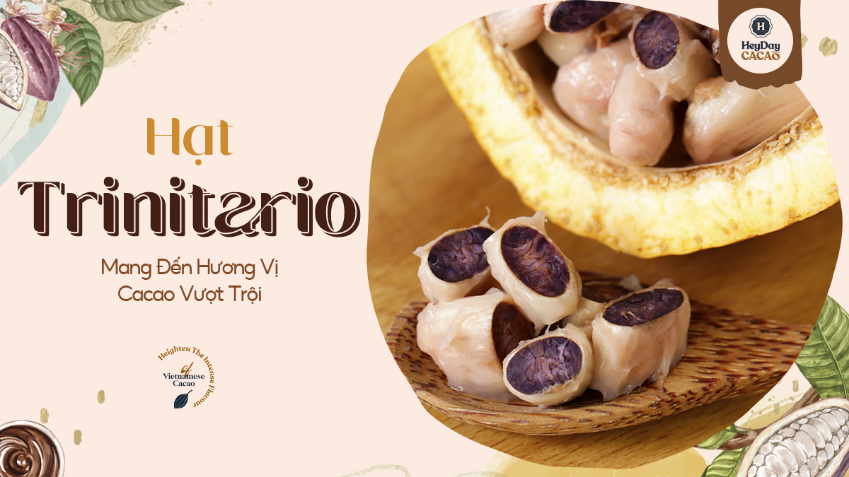 Heyday Bột Cacao Nguyên Chất Không Đường Việt Nam - Dòng Origin - Chứng Nhận UTZ - Hỗ Trợ Giảm Cân - Túi Giấy 250g