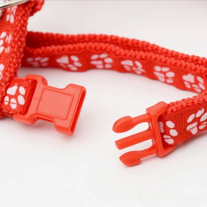 Dây dắt mèo hoạt hình siêu dễ thương màu ngẫu nhiên Xudapet