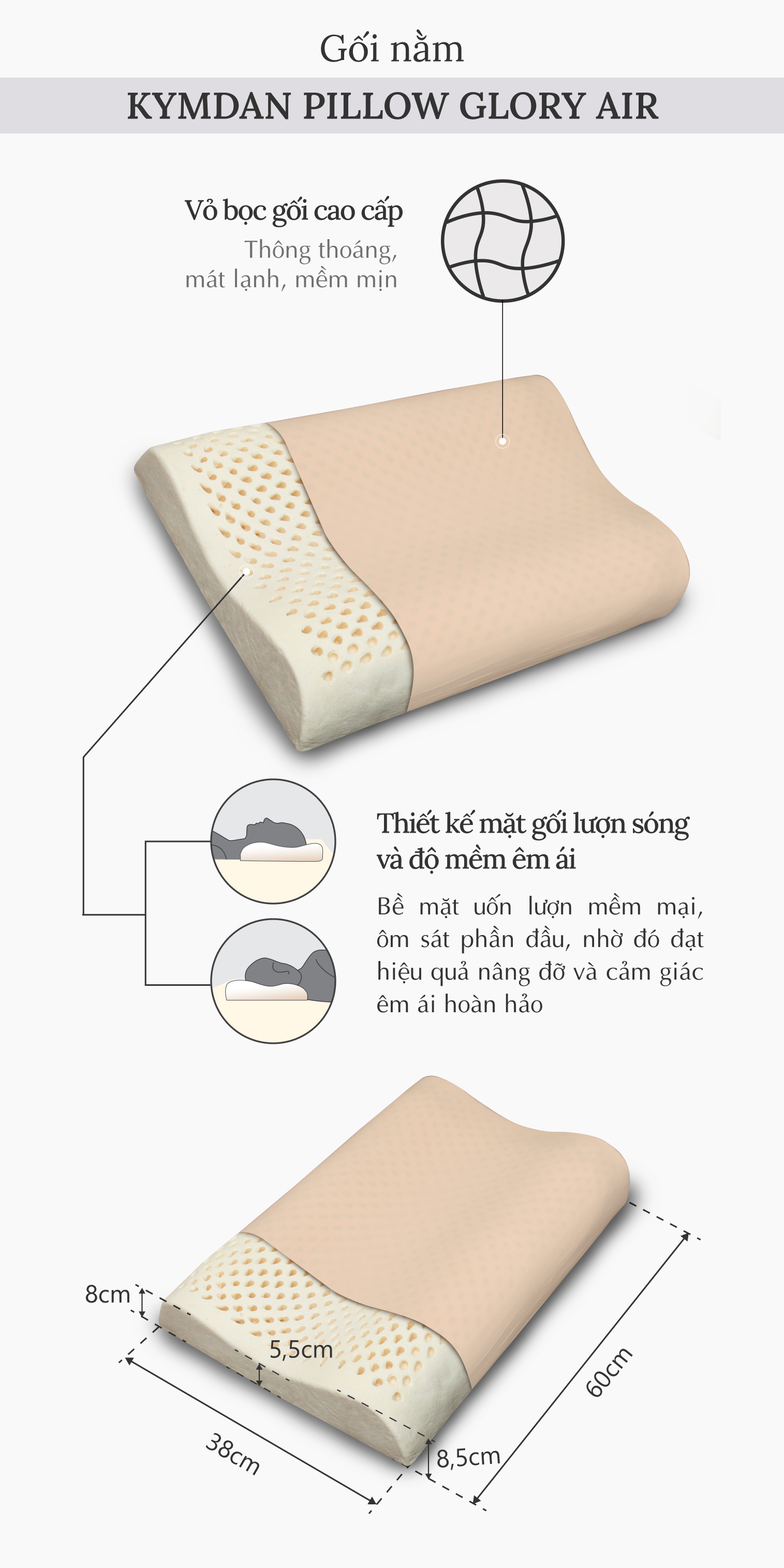 Gối cao su thiên nhiên Kymdan Pillow Glory Air 60 x 38 x 8,5 - 5,5 - 8 cm