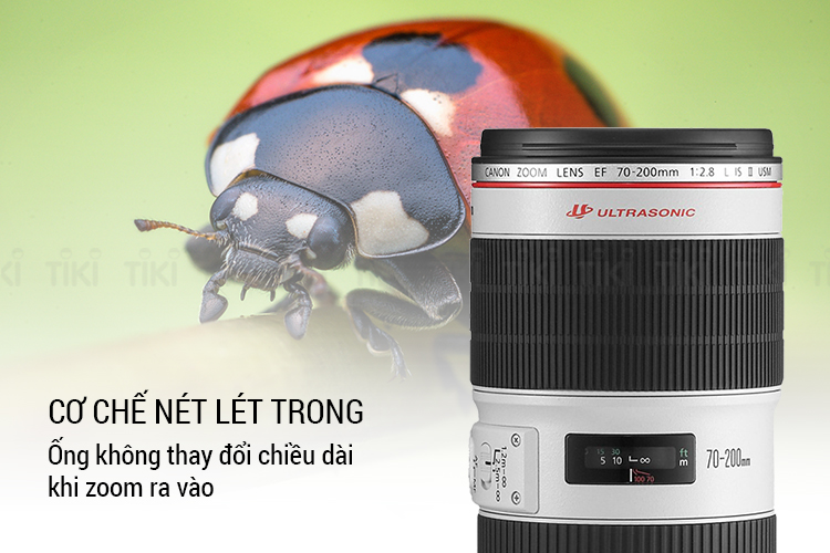 Lens Canon EF 70-200mm f/2.8L IS II USM (Lê Bảo Minh)