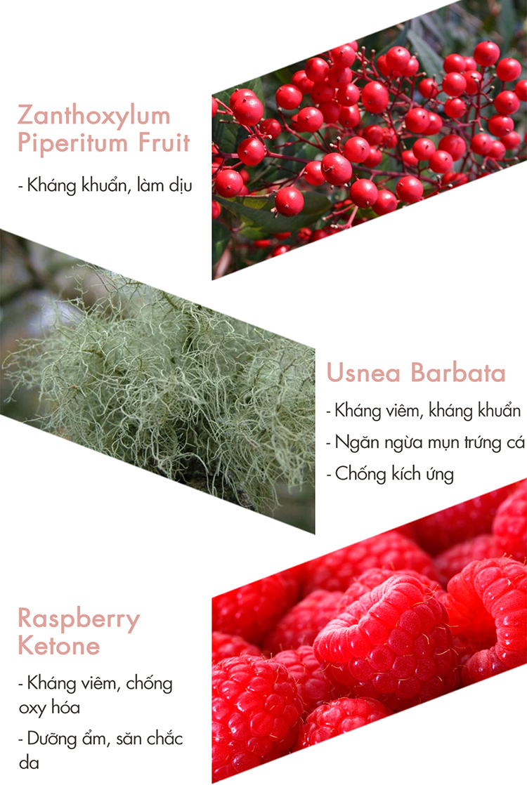 Tinh chất dưỡng chuyên sâu, phục hồi và điều trị da sau 30 ngày F2G Science 30Days Florawater Ampoule Program (2ml x 30pcs)