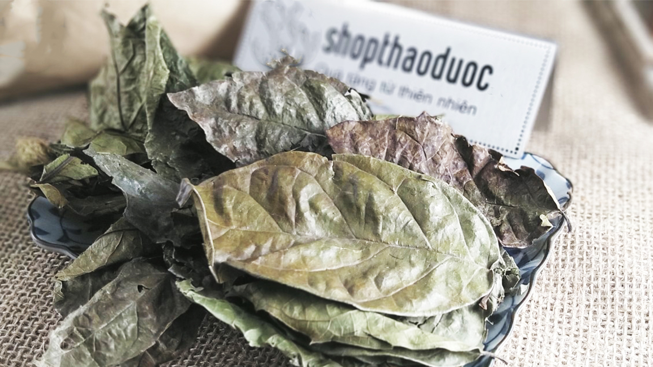 1kg cây xạ đen khô ( tặng 1 chai tinh dầu sả chanh 8ml ) - giúp ổn định huyết áp, thanh nhiệt, giải độc cơ thể