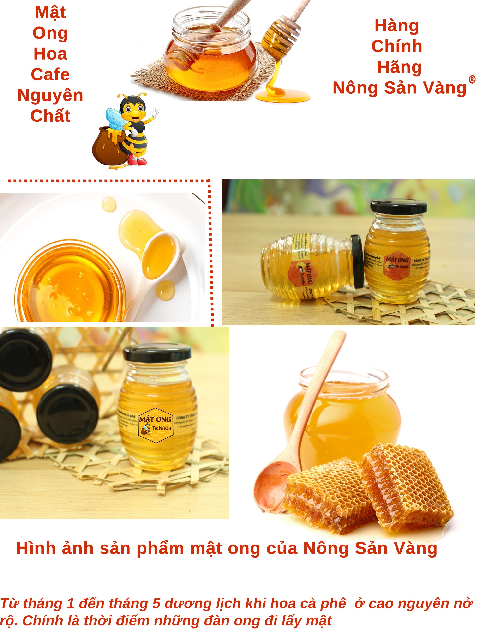 mật ong tự nhiên hoa cà phê 140g - nông sản vàng 1