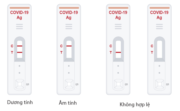 Diễn giải kết quả
