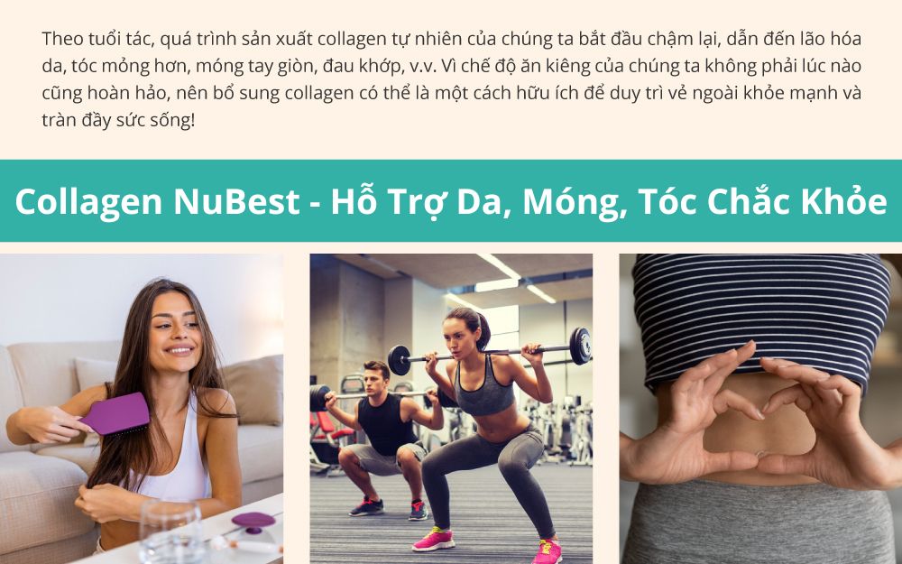 Thực Phẩm Bảo Vệ Sức Khoẻ Collagen NuBest