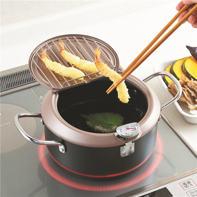 Deep Frying Pot Tempura Fryer Pan Temperature Control Cooking Tool 20cm