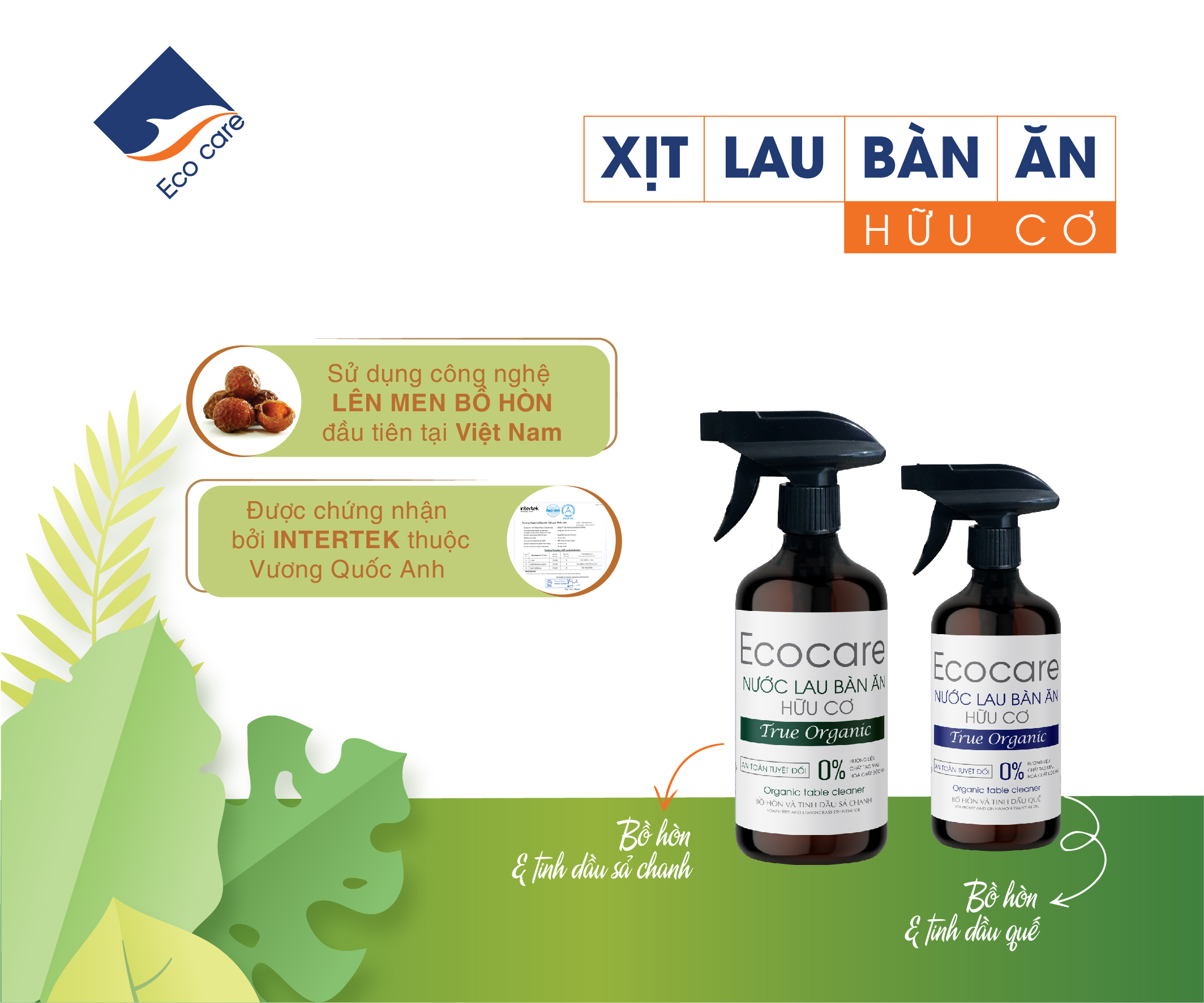Xịt lau bàn ăn hữu cơ Bồ hòn tinh dầu Sả Chanh dung tích 500ml thương hiệu Ecocare