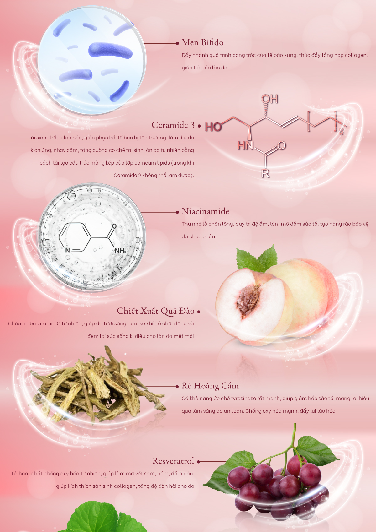 Essence tinh chất chứa Ceramide 3 dưỡng ẩm phục hồi chống lão hóa Peach Blossom Rejuvenate Hydrating Essence