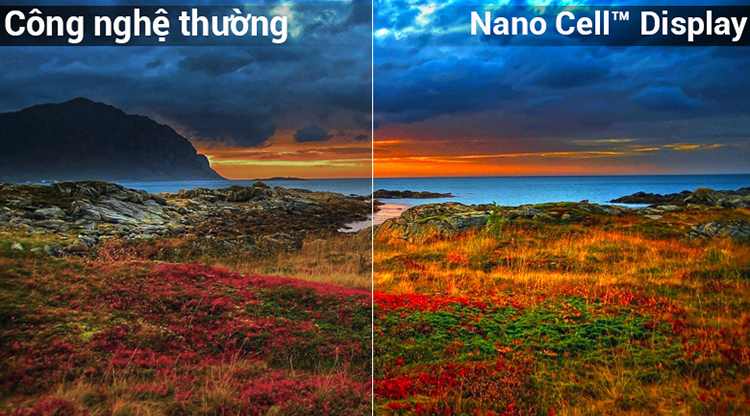 Smart Tivi LG 65 inch 4K 65NANO81TNA - Hàng Chính Hãng