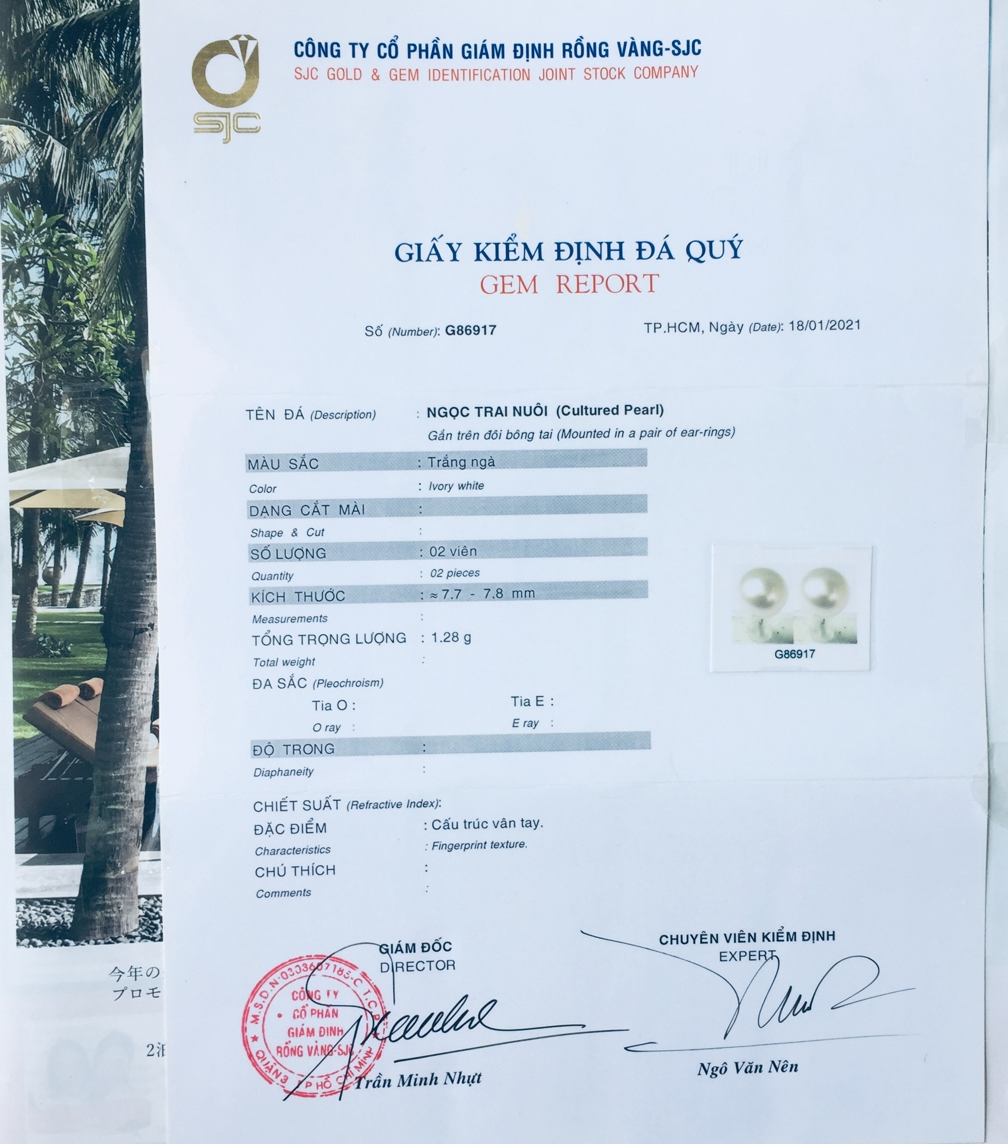 Combo Hoa Tai Ngọc Trai Thiên nhiên, kèm bản PHOTOCOPY giấy KIỂM ĐỊNH SJC và Túi Nhung.