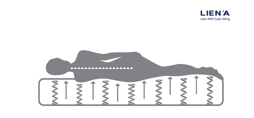 Nệm Lò Xo Liên Á CASSARO FIRM
