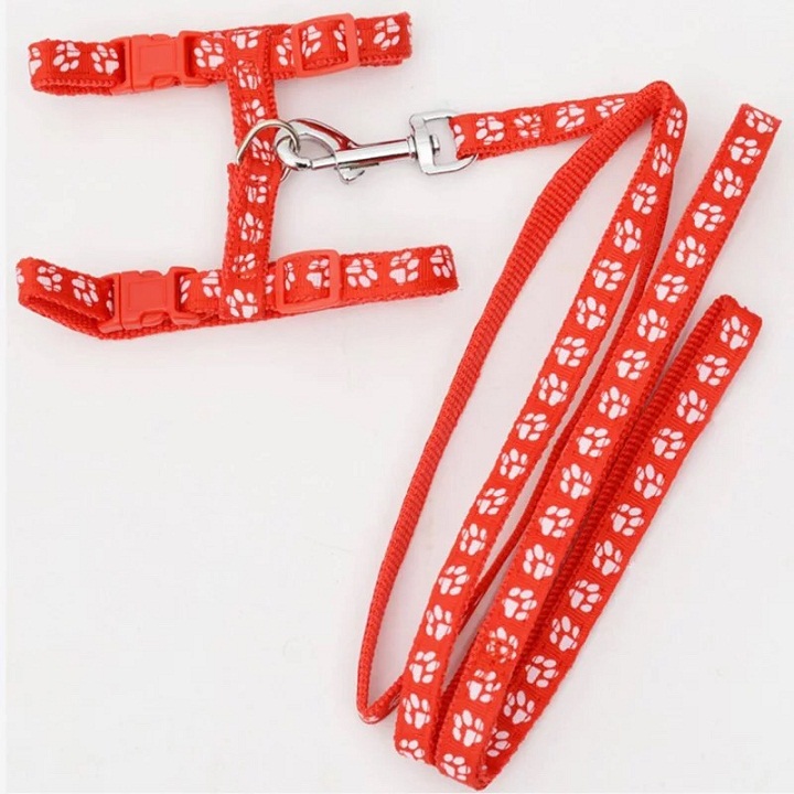 Dây dắt mèo hoạt hình siêu dễ thương màu ngẫu nhiên Xudapet