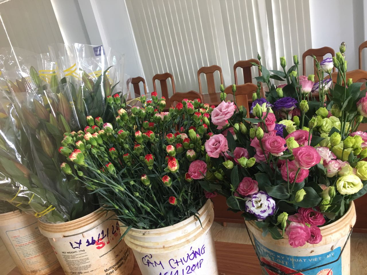 Dung Dịch Xử Lý Hoa TOG Galileo của ISRAEL (Chai 1 Lít) dùng bảo quản hoa cắt cành tươi lâu tại Nhà Vườn Trồng Hoa, Vựa Hoa và Chợ Sỉ Hoa. Tỷ lệ dung dịch 0.1% tức chai 1 Lít TOG pha được 1.000 Lít dung dịch xử lý hoa