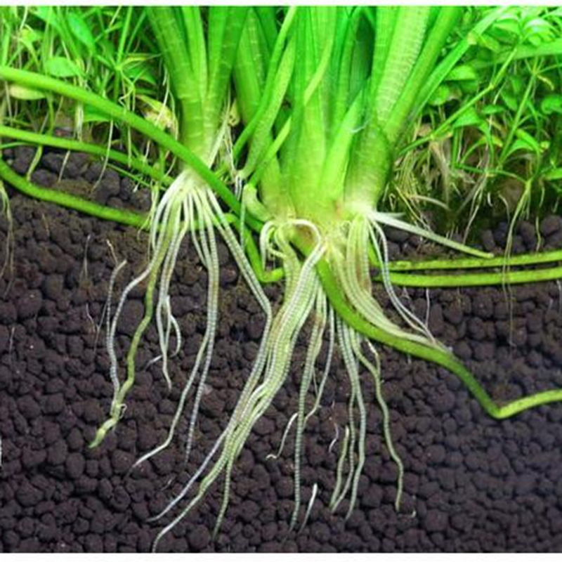 Đất nền thủy sinh SMEKONG II giàu dinh dưỡng, giúp cây trồng lớn nhanh, phát triển mạnh túi 2KG ( Nâu). Hàng mới nhất