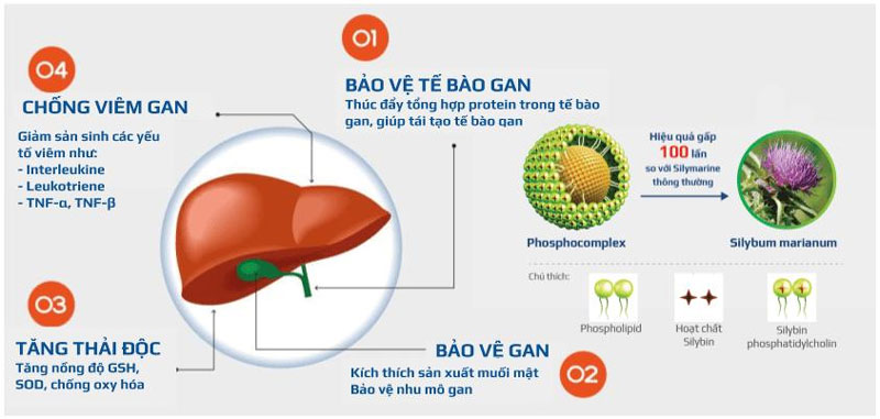 giải độc gan foie sain - hỗ trợ thải độc, hạ men gan, tăng cường chức năng gan (hộp 60v) 3