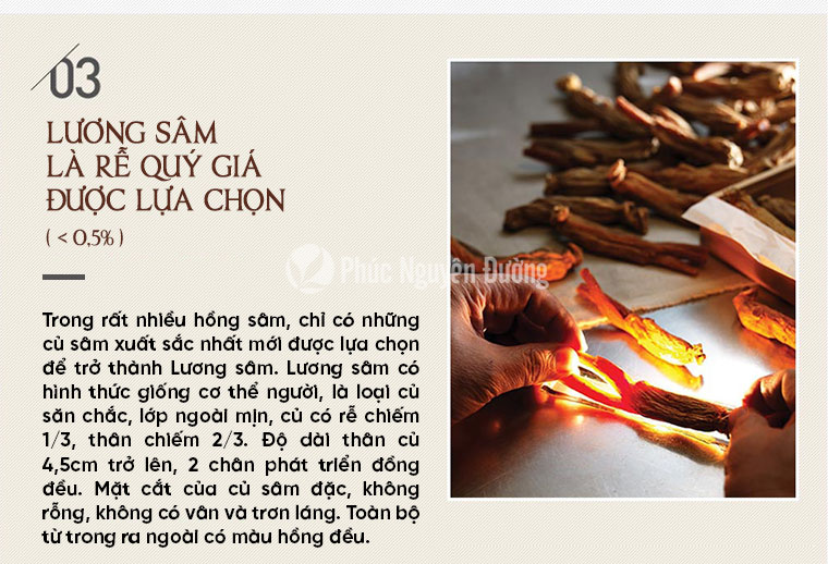 Thực Phẩm Chức Năng Lương Sâm Good 20 300g 14 Củ - CKJ Korean Red Ginseng Root - Good 20PCS 300g 5